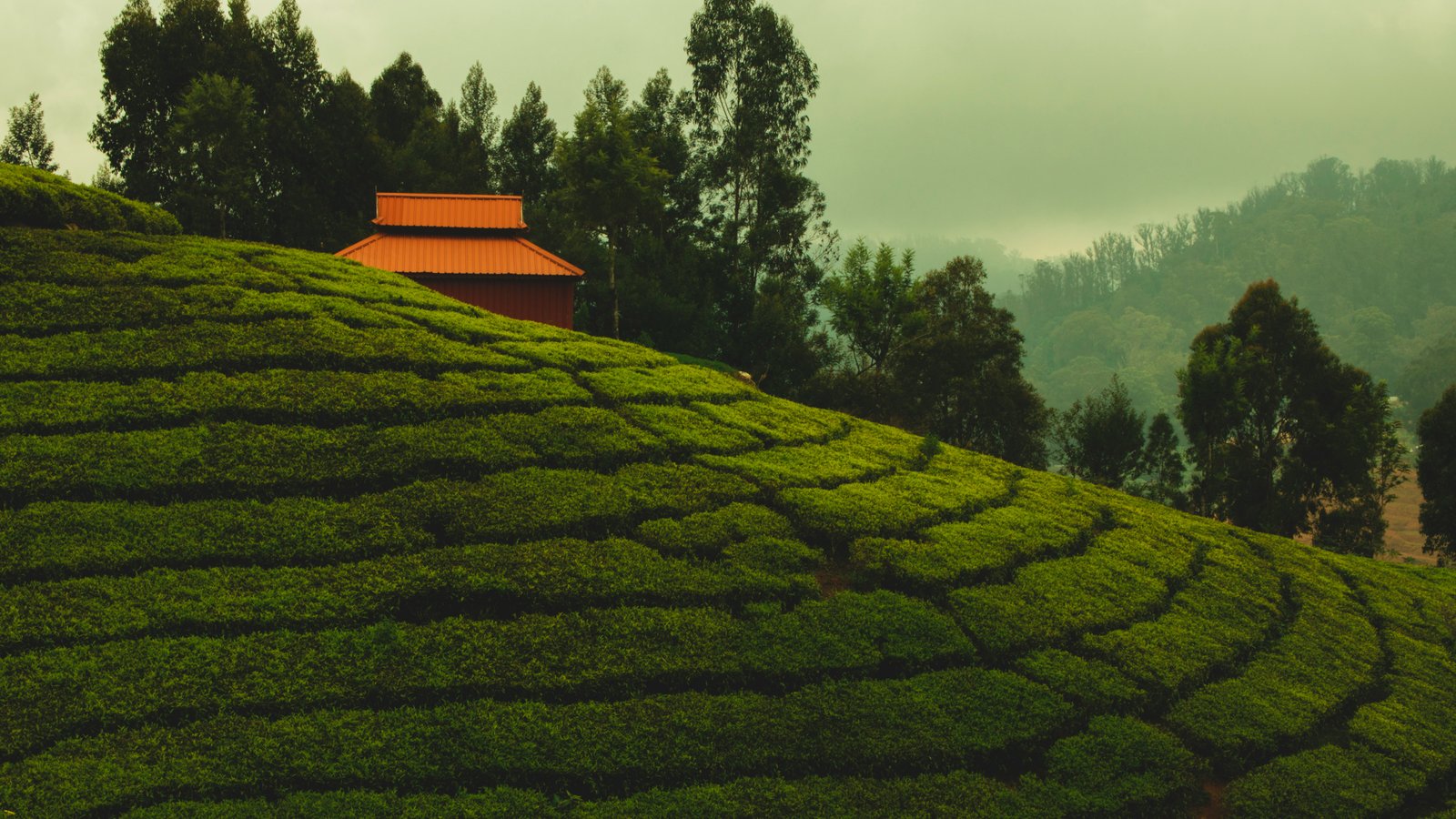Ooty Day Trip