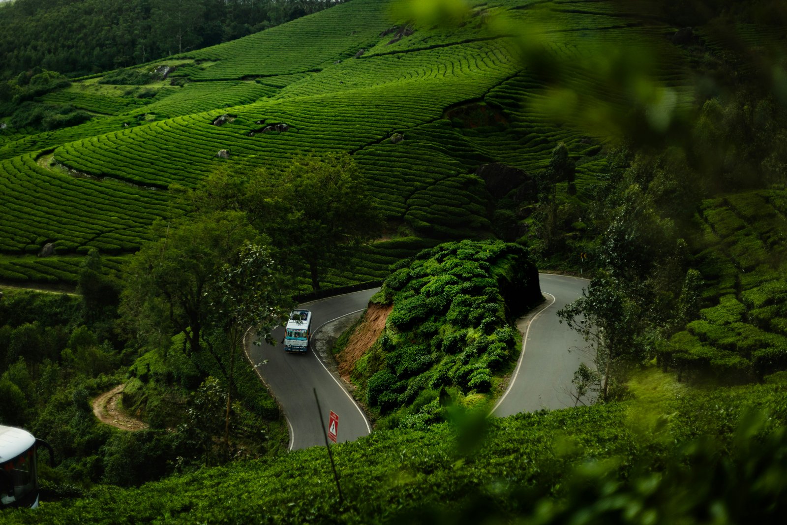 Wayanad Day Trip